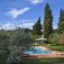 Location Toscane, maison Petigliolo, jardin
